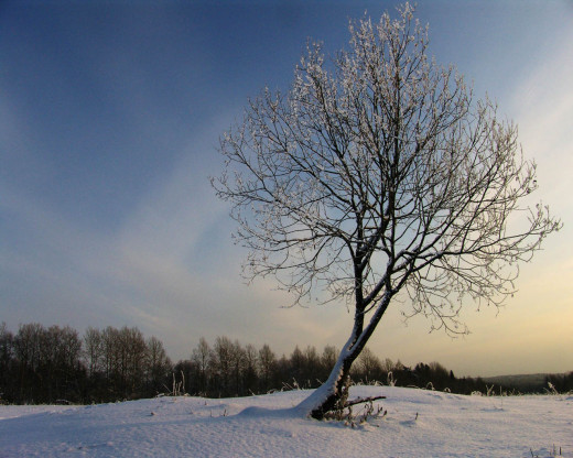28212 (a): :1280x1024